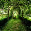 Saurons-nous encore écouter la voix d’un jardin ?