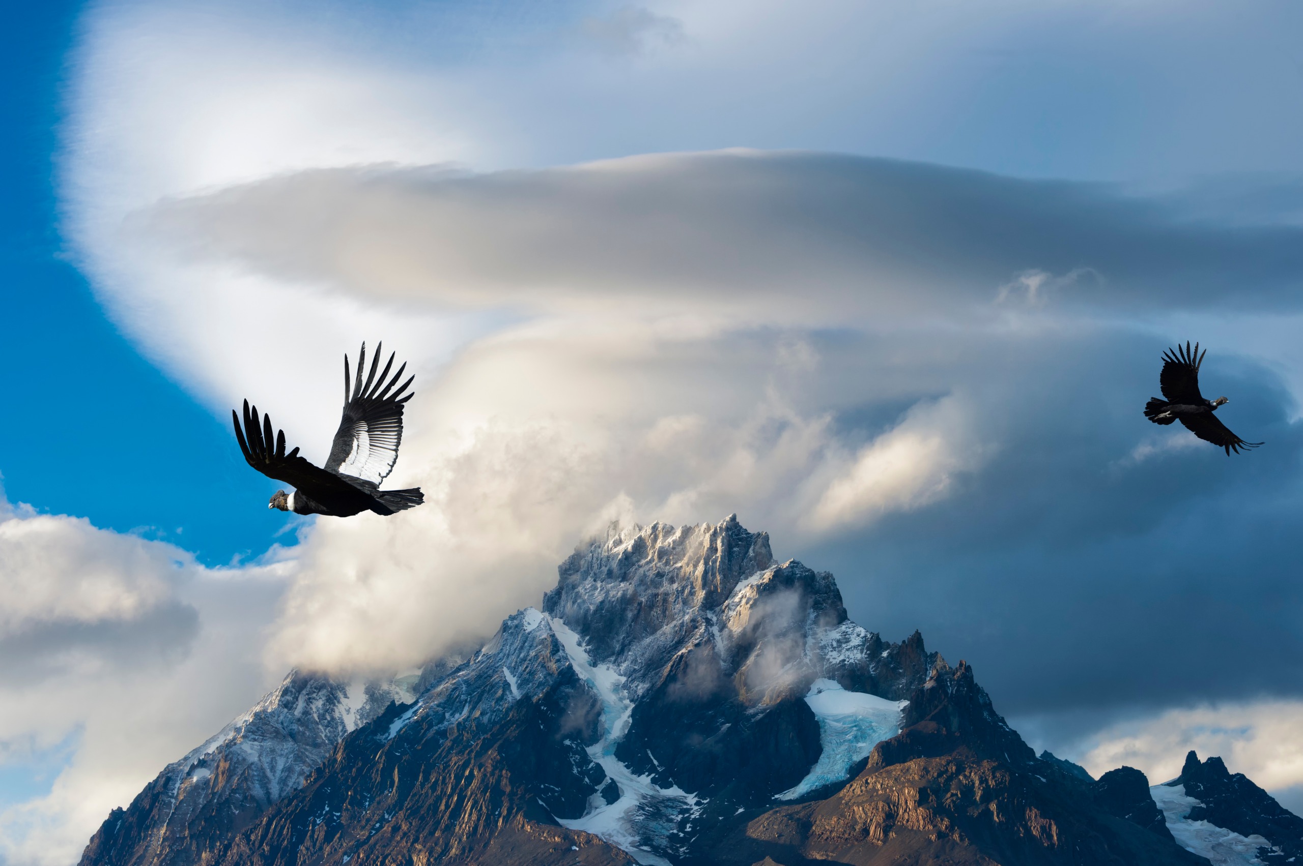 Le temps tel le grand Condor des Andes